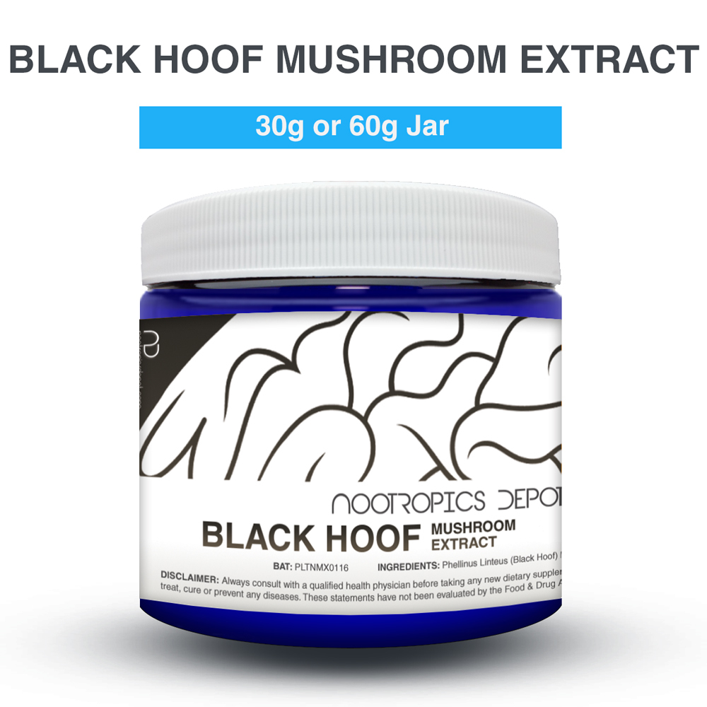 BLACK HOOF MUSHROOM EXTRACT